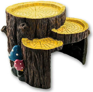 ��঍H�[ ���N�K�� �V�F���^�[ ��5��PV���f�B�A�ďC ���T �T ���� ঒��� ���� ��^ �B���