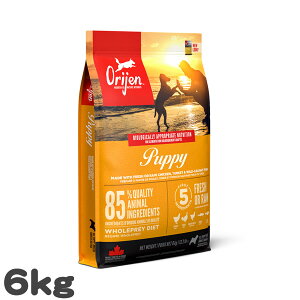 ���p �h�b�O�t�[�h �I���W�� �p�s�[ ORIJEN 6kg �q���p ���^���p�N �����s�g�p �O���C���t���[ �v���~�A�� �����h�{�H �h���C�t�[�h