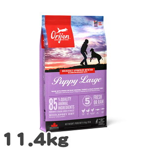 ���p �h�b�O�t�[�h �I���W�� �p�s�[���[�W ORIJEN 11.4kg ��^�� �q���p ���^���p�N �O���C���t���[ �v���~�A�� �����h�{�H ��e��