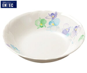 GebN^ENTEC@݂@x[M@VO-204@i{EYE~HEaHEH߈j