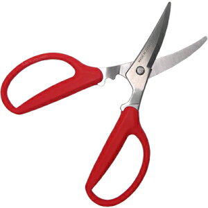 쏊 Jj`L [ւł̂͂4܂łƂȂ܂B i{EYEo[~BEJjoT~EIEɃnT~ELb`oT~EI`LEyp1804j [tbkn]