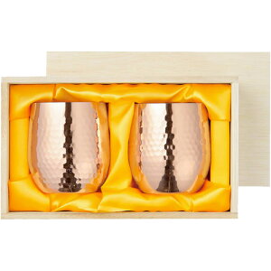 ATq HyH[ bNJbv 2PCZbg ؔ CNE971 i{EEMtgZbgj