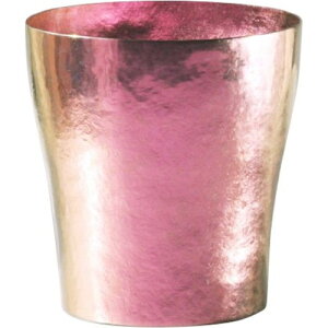 zG  ؃`^  T-15-KM250-1100 i{Eۗ2d\E`^^u[E`^EHORIE TITANIUMj