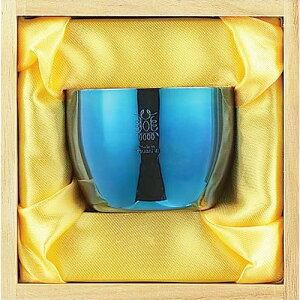 ^}nV  Ô-ӂ- ۂ AO-01 i{Ê݁EXeXEwChECEcoxEEMadeInTsubamej