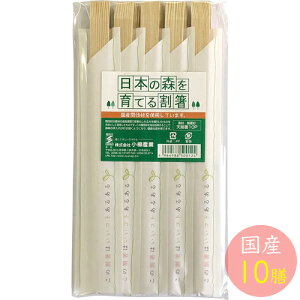 Y {̐XĂ銄 V10P 20.5cm 29085 i{EYEYԔގgpE10VE蔢Eyp1804j