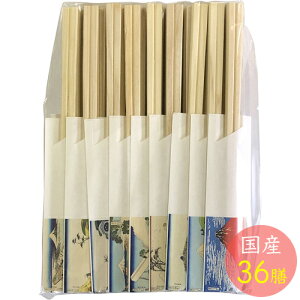 Y xԎO\Zi O\36P 20.5cm 29087 i{EYE36VEwEqmLE蔢j