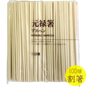 AXy\100P n_J 20.5cm 29080 i100VE蔢EEEHE[EHXECxgEYƁEƖpj