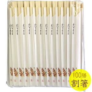 t@~[100P AXy\ 20.5cm 29082 i100VE蔢EEEHE[EHXECxgEYƁEƖpj