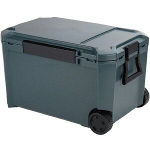 JEJAXe[W RAtbNX N[{bNX #65 CfBSO[ CF-65IG iۗ{bNXEW[piELvpiE^ij