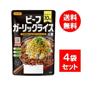 {H r[tK[bNCX̑f 73g×4