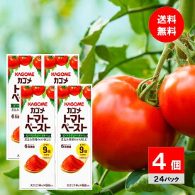 【4箱セット】カゴメ トマトペーストミニパック 18g×6袋入り 離乳食 ベビーフード