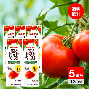 y5zJS g}gy[Xg~jpbN 18g×30 H xr[t[h