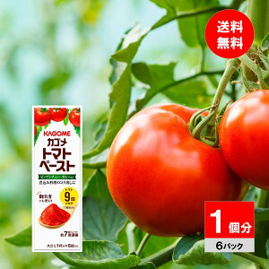 y1zJS g}gy[Xg~jpbN 18g×6 H xr[t[h