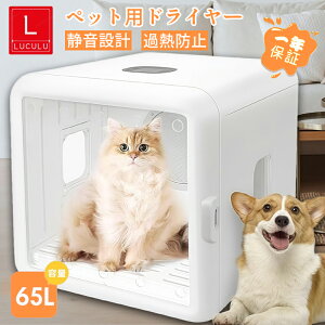 yTő10%OFF{P5{z ybg hCnEX  L ybghC[ 65L p p hC[ {bNX Â K hC[nEX I[V[YKp ŋ@\ @\ 