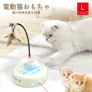 L  d L炵L̍DSh USB[d Ĥ ȒP Ԃ ^s 얞΍ mbg[ {\h