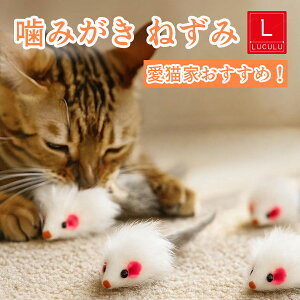 yӍSALE|Cg5{Iz L  lY~ L̂ ˂ VJVJ VR F t@[ ETM ŋۍς ӂӂ_炩 L   Ђ É݌v ^s 