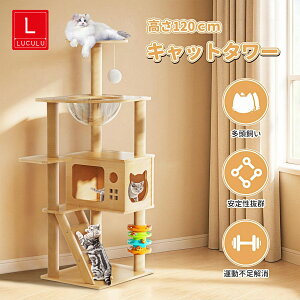 y}\聚撅10%OFF{P10{Iz Lbg^[ ؐ X L^[ ؖڒ  Ή FD^{E LnEX W] ܂Ƃ|[ o₷Ki lC ȃXy
