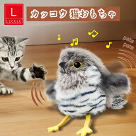 【6/19まで★最大600円OFF！まとめ買いクーポン配布中】猫 おもちゃ 鳥 羽ばたく ピョンピョンバード カ…