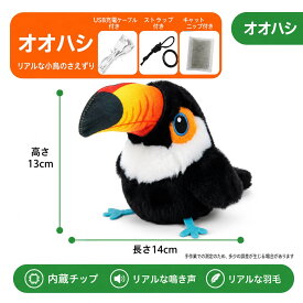 【秋のお得SALE★店内8%OFF】【楽天1位】猫 おもちゃ 鳥 羽ばたく ピョンピョンバード カッコウ スズメ ぬいぐるみ 鳥 小型 羽ばたく翼 一人遊び 猫が飽きない USB充電式 動く 鳴く 猫のおもちゃ 電動おもちゃ 猫用おもちゃ 水洗い可能