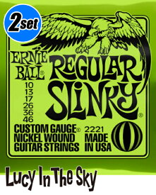 ERNIEBALL ( アーニーボール ) エレキ弦 Regular Slinky #2221［.010-.046］2set