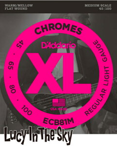 D'Addario i __I j x[X Chromes Bass Light #ECB81Mm.045-.100nMidium