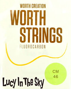 WORTH ( [X ) EN i \vm E RT[gjCM #0205-0224