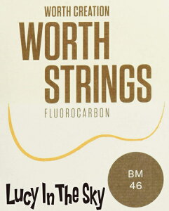 WORTH ( [X ) EN i \vm E RT[gjBM #020-0224