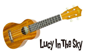 ARIA ( AA ) \vm EN AU-1KG