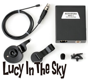 SUZUKI ( XYL ) HMH-100 n[vp}CNtH