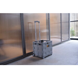 L[S tH[fBO oXPbg ܂肽 LX^[t [ [P[X RpNg ^ׂ  bNt e ω׏d25kg AEghA  tFX ^ 