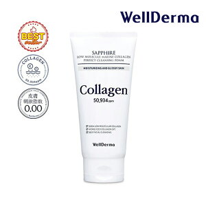 X|Cg5{؍RX tH[ WellDerma EF_[} Tt@CA }R[Q p[tFNg NWOtH[ 150g R[Q 痿 _usv EF_