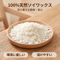 ソイワックス キャンドル用ソフトタイプ ソイワックス 1kgフレーク状の大豆100％天然植物性ワックス （1k…