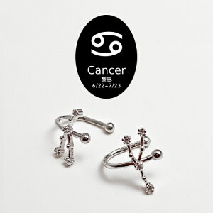 ySV925 ANZT[z12 `[t ]fBAN TC C[JtX CJt Vo[ yA AM[Ήy ЂAAӂAɍAAƂ