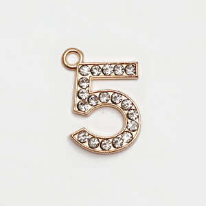 yANZT[p[czs`[tNo.5 CXg[t `[t 傫 S[hJ[^L[z_[ gуXgbv uXbg COCO yaccessory nhCh ޗ  | 