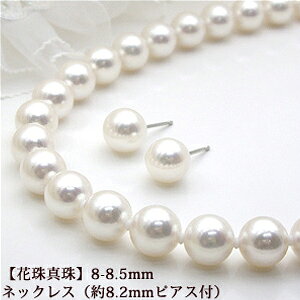 yizy^ȊwI[ԎӕʏtzōiAR^lbNX嗱8mm-8.5mmilbNXj8.2mmisAXjtZbgCil̉ĩp[gi[ p[ ^y