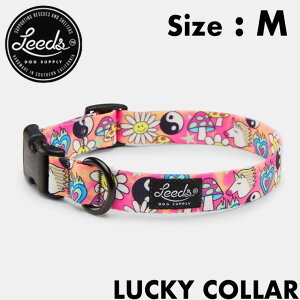  p Leeds Dog Supply [YhbOTvC LUCKY COLLAR MTCY {㗝XKi