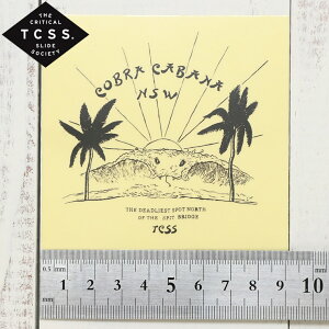 yNAXZ[z TCSS eB[V[GXGX STICKER XebJ[ The Critical Slide Society ASTICK18