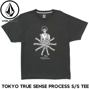 ����TEE T�V���c VOLCOM �{���R�� ���H���R�� TOKYO TRUE SENSE CONSTANT S/S TEE A4312502 STH ���{�㗝�X���K�i
