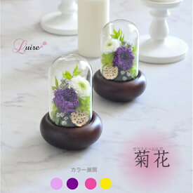 輪菊 プリザーブドフラワーガラスドーム仏花『菊華』 お供え花 ドーム プリザーブドフラワー仏花 ドーム仏花 お悔やみ お供え お盆 喪中はがきが届いたら 初盆 新盆 お彼岸 喪中 お供え お悔み 送料無料 命日 四十九日 一周忌 花 対【菊華】