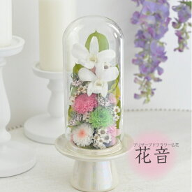 豪華Lサイズ ガラスドーム仏花 ドーム仏花 ホワイトデンファレ 小菊 仏花 お供え花 ドーム ガラスドーム付き プリザーブドフラワー仏花 ホワイト仏花 白 仏花 お悔み 自然素材 大きめ仏花 対 大きい【花音】