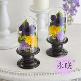 デンファレ プリザーブドフラワー ガラスドーム お供え花 ドーム 紫 仏花 供花 ドーム仏花 対のデザイン お供え花 お悔み ガラスドーム仏花 小さめ 仏壇用 一対【永咲】
