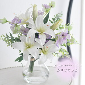 yz  JTuJ ftBjE }WJEH[^[ @̐ A[eBtBVt[  t[Mtg bsO@͂Ȃ   t[C