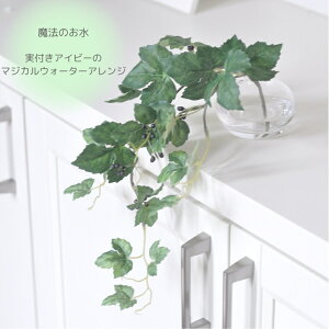 ACr[ }WJEH[^[AW tACr[ ϗtA   }WJEH[^[ @̐ NCԊ G} G}H tFCNO[