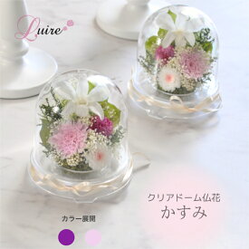 自然素材仏花 プリザーブドフラワー仏花 ドーム お供え花 供花 お悔み お盆 枯れない仏花 菊 お手入れ不要 ドーム仏花 仏壇用 一対【かすみ】