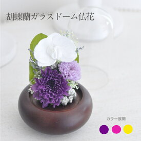 稀有なプリザーブドフラワー胡蝶蘭仏花 ガラスドーム お供え 供花 お悔み お盆 枯れない仏花 菊 お手入れ不要 胡蝶蘭 ガラスドーム仏花 ドーム仏花 胡蝶蘭仏花 ドーム【胡蝶】