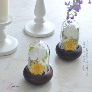 HLȃvU[uht[Ӓ KXh[    ~ ͂Ȃ e sv Ӓ KXh[ h[ Ӓ h[yӒz