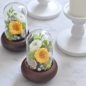 ֋e vU[uht[KXh[ԁwe؁x  vU[uht[ h[   ~ r͂͂ ~ V~ ފ r   