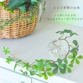 シュガーバイン マジカルウォーターアレンジ グリーン 観葉植物 高級造花 造花 マジカルウォーター 魔法の水 クレイ花器 光触媒 光触媒加工済 フェイクグリーン 人工水