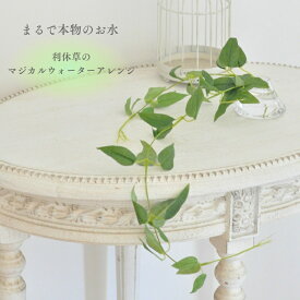 リキュウソウ 利休草 マジカルウォーターアレンジ グリーン 観葉植物 高級造花 造花 マジカルウォーター 魔法の水 クレイ花器 光触媒 光触媒加工済　人工水 フェイクグリーン