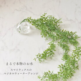 スマイラックス マジカルウォーター アレンジ グリーン 観葉植物 高級造花 造花 マジカルウォーター 魔法の水 クレイ花器 光触媒 光触媒加工済 緑 フェイクグリーン